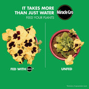 Plant Food Singles