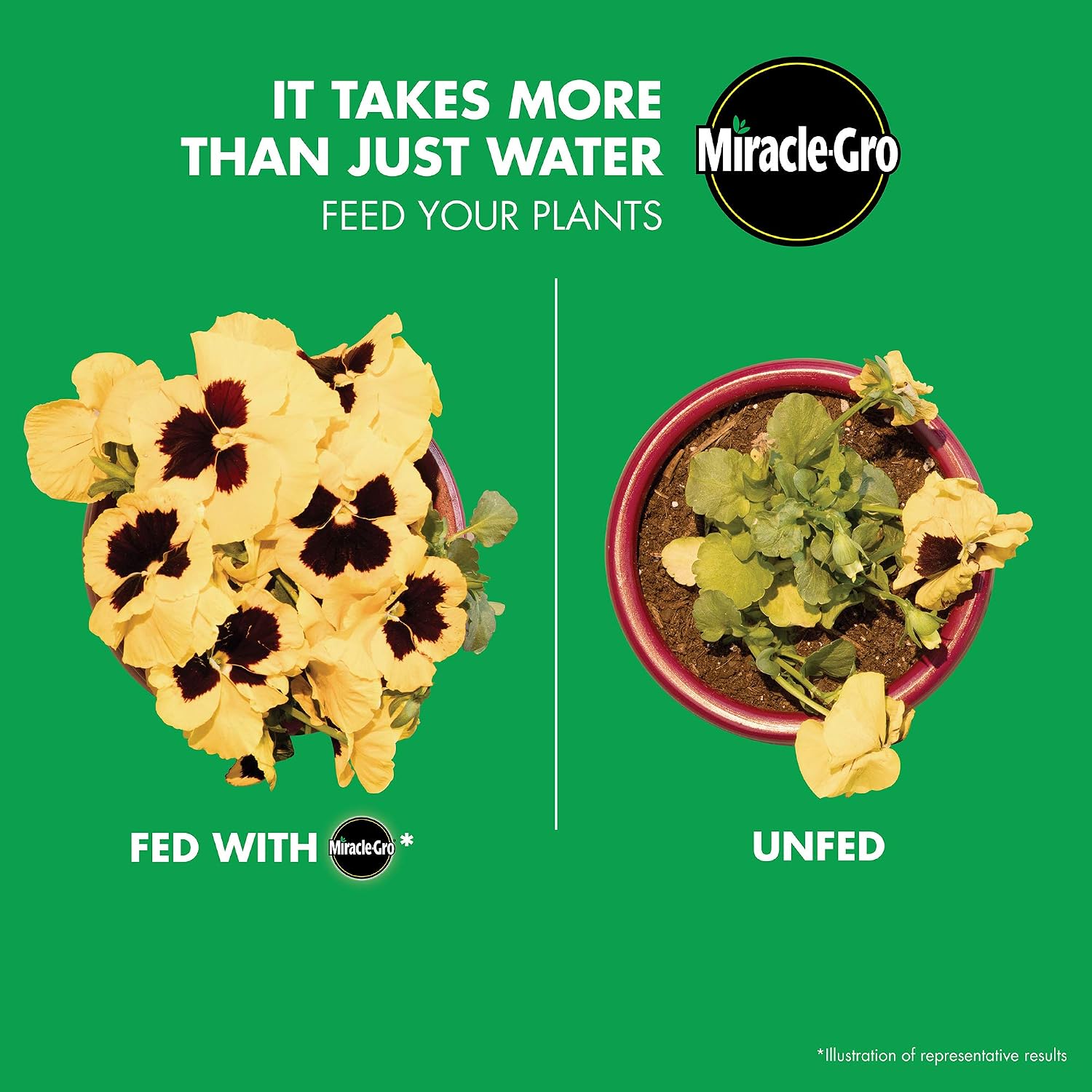 Plant Food Singles