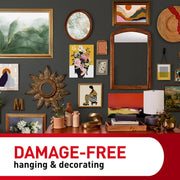 Clear Wall Hanging Variety Pack