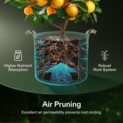 Premium Fabric Grow Bags