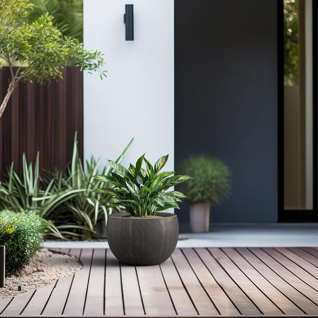 Modern Concrete Planter