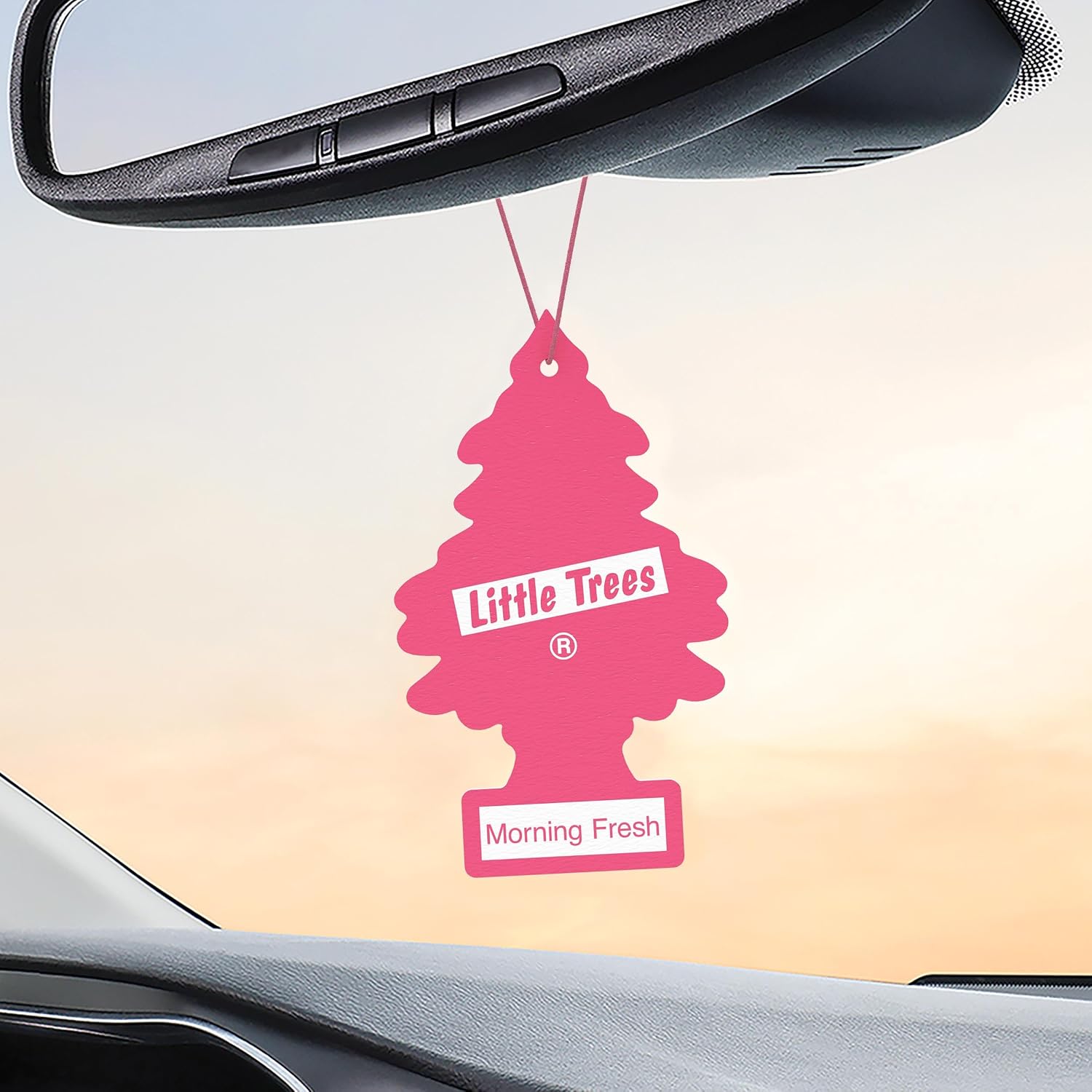 Hanging Car Air Fresheners – Morning Fresh, 24 Pack