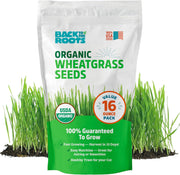 Organic Wheatgrass Seeds
