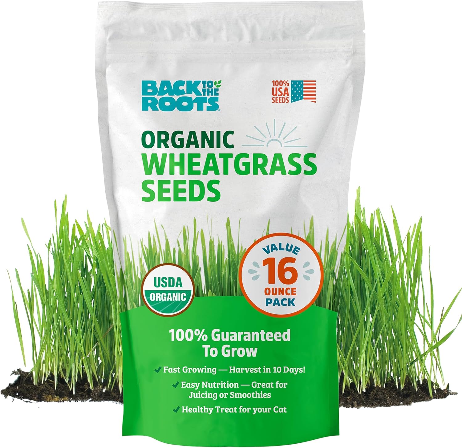 Organic Wheatgrass Seeds