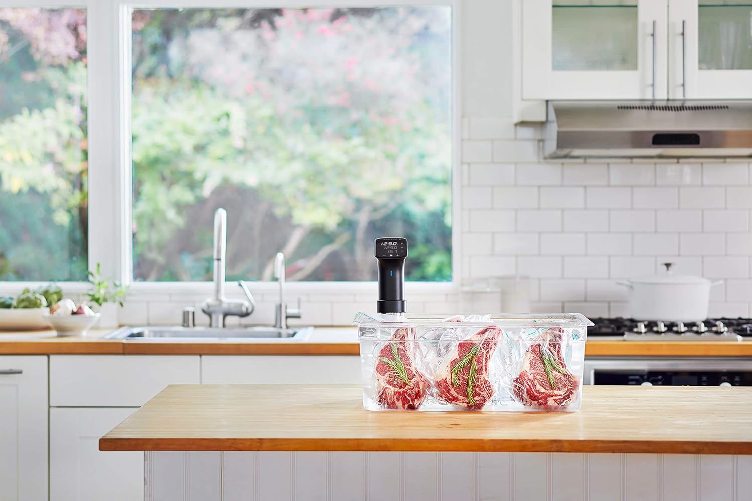 1200W Precision Sous Vide Cooker
