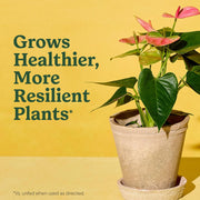 Indoor Potting Mix
