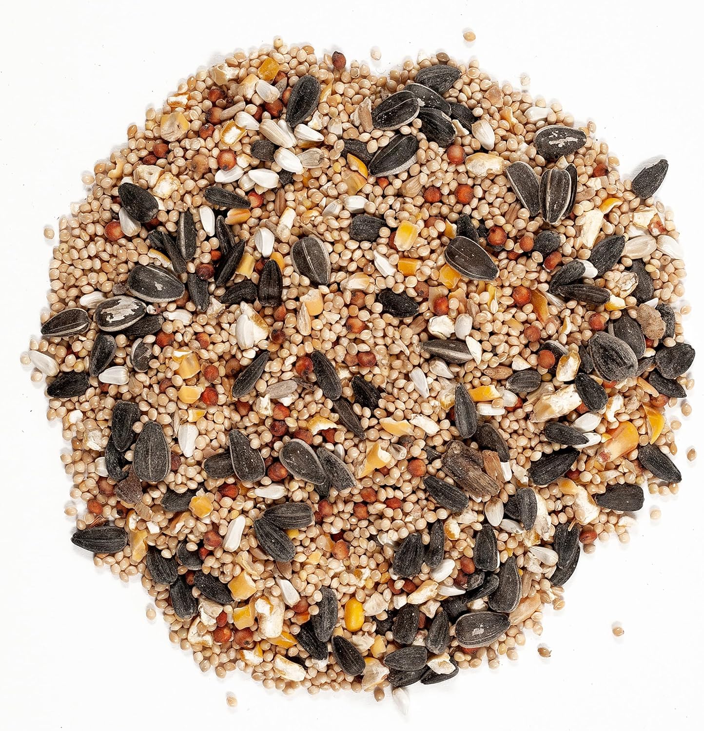 Regional Bird Food