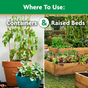 Tomato Plant Food