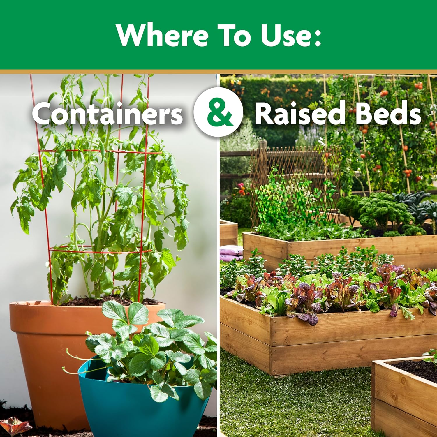 Tomato Plant Food