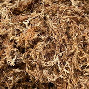 Natural Sphagnum Moss