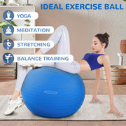 Anti-Burst Exercise Fitness Ball