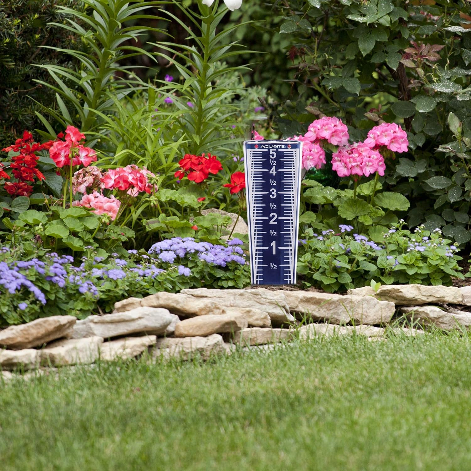 Magnifying Rain Gauge