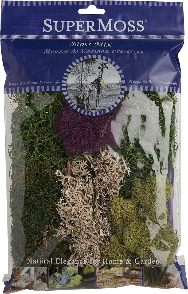 Assorted Preserved Moss Mix