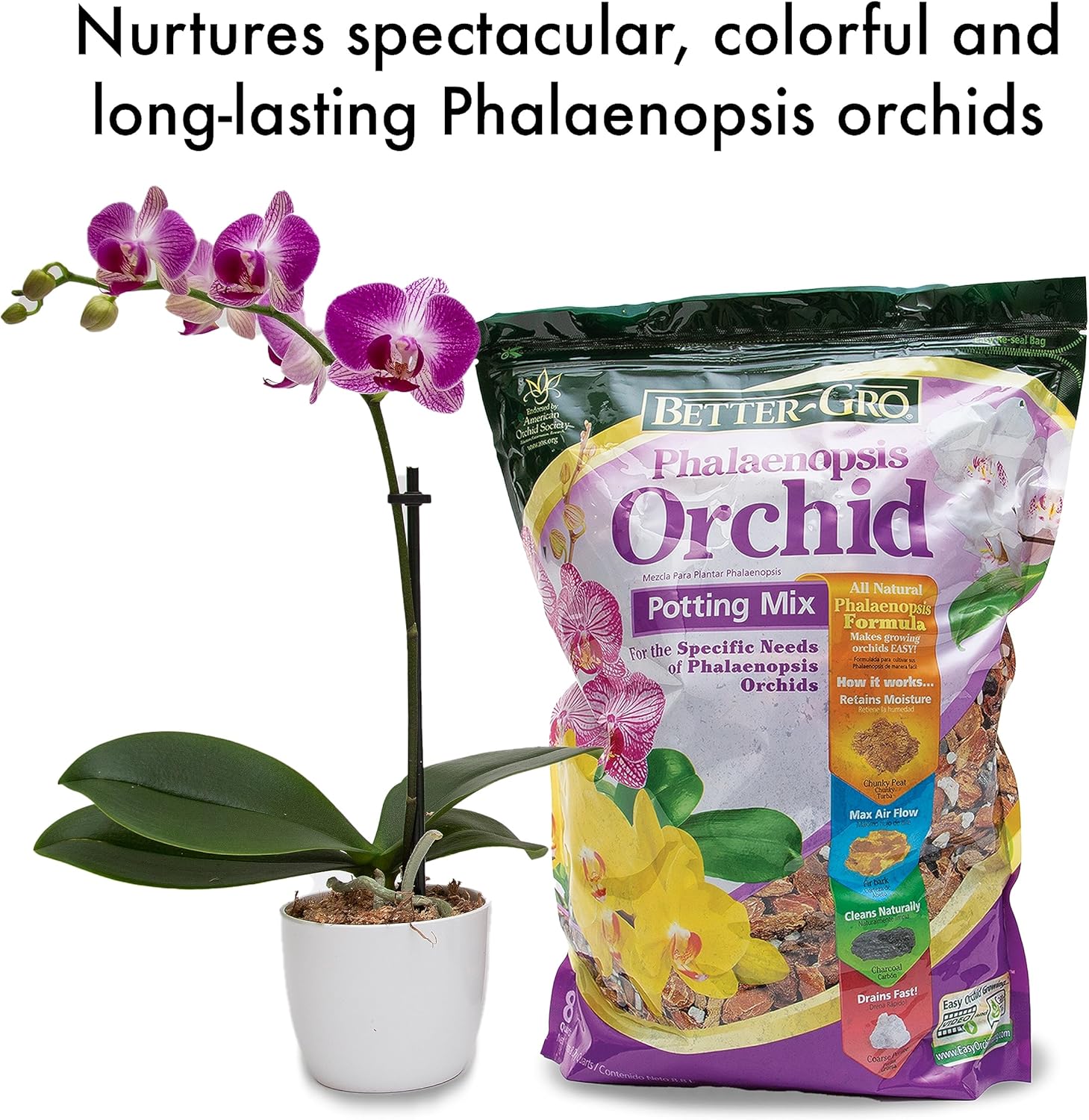 Outdoor Insect Concentrate