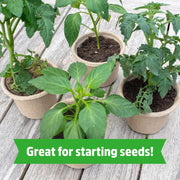 Organic Coir Soil