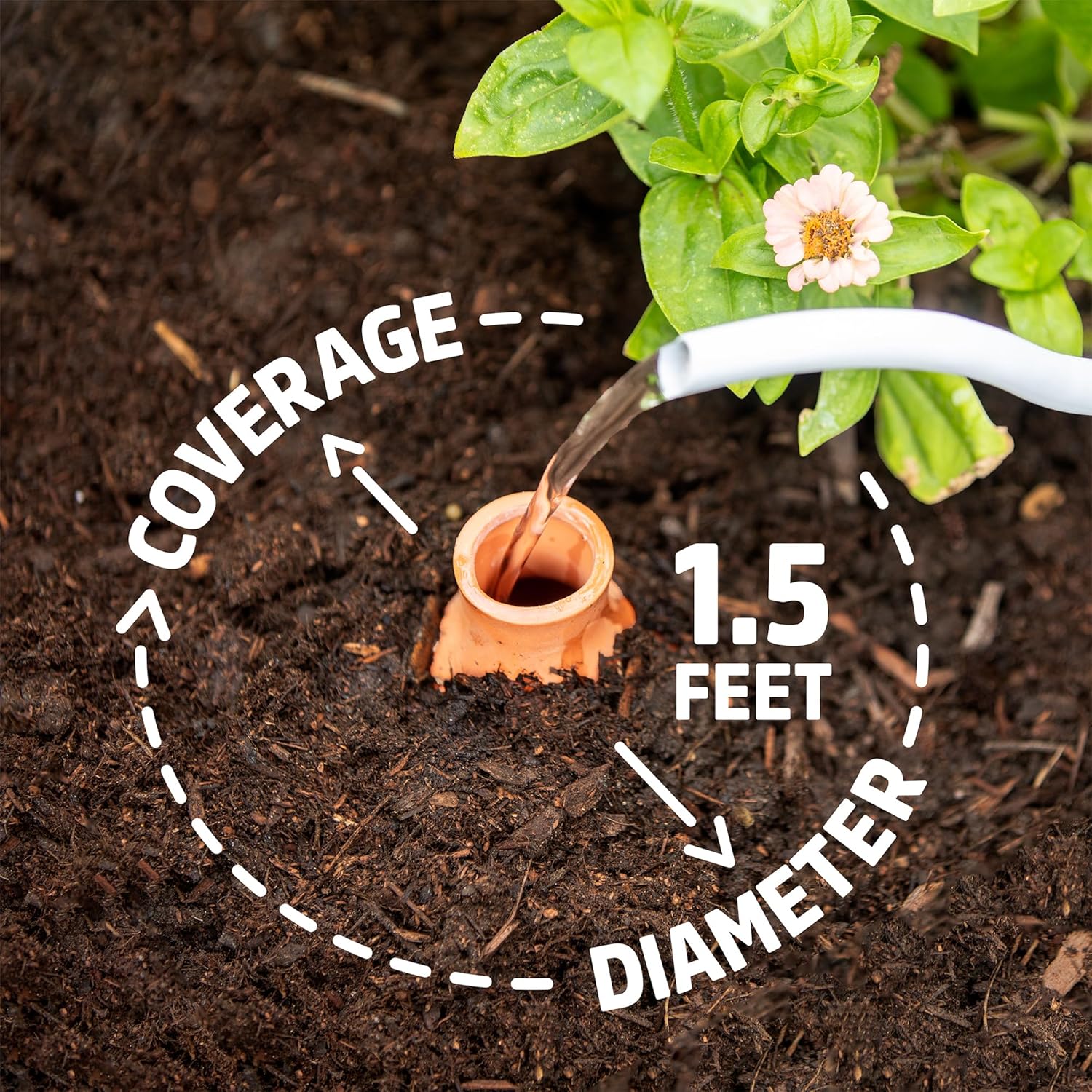 Self-Watering Olla Pots