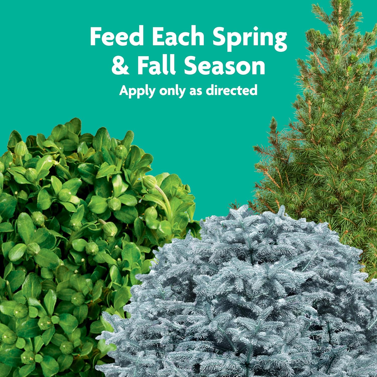 Tree Food Spikes