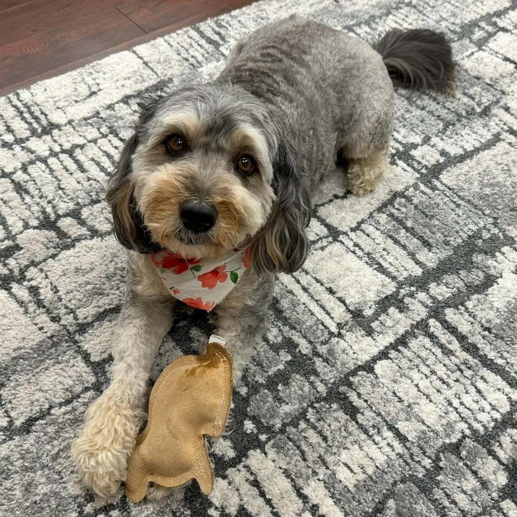 Leather Rabbit Squeaky Dog Toy