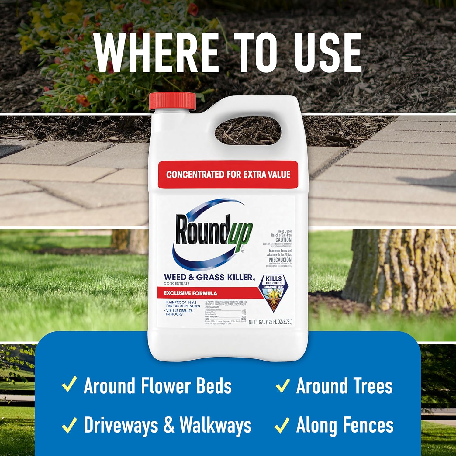 Weed & Grass Killer