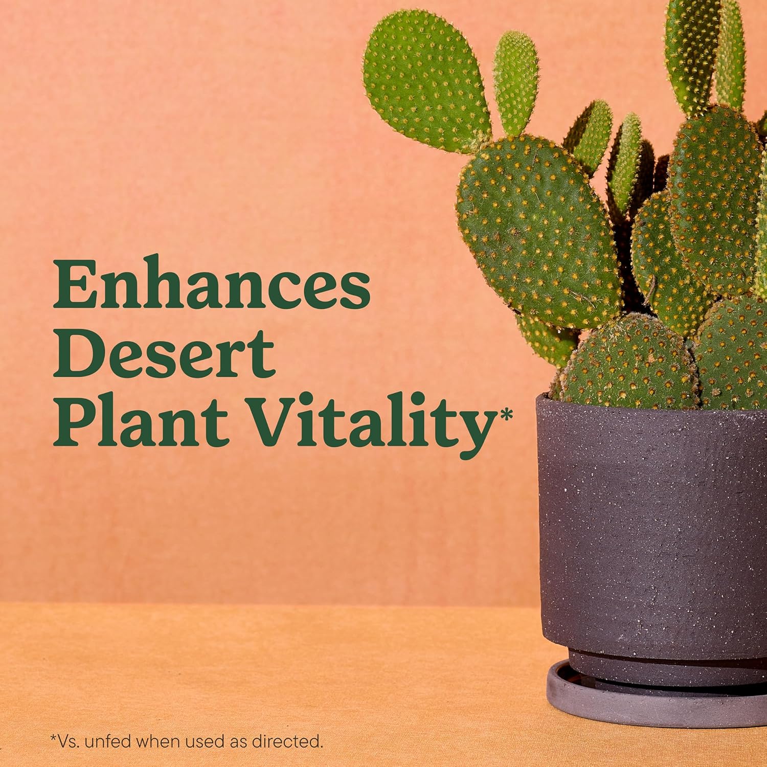 Cactus Potting Mix
