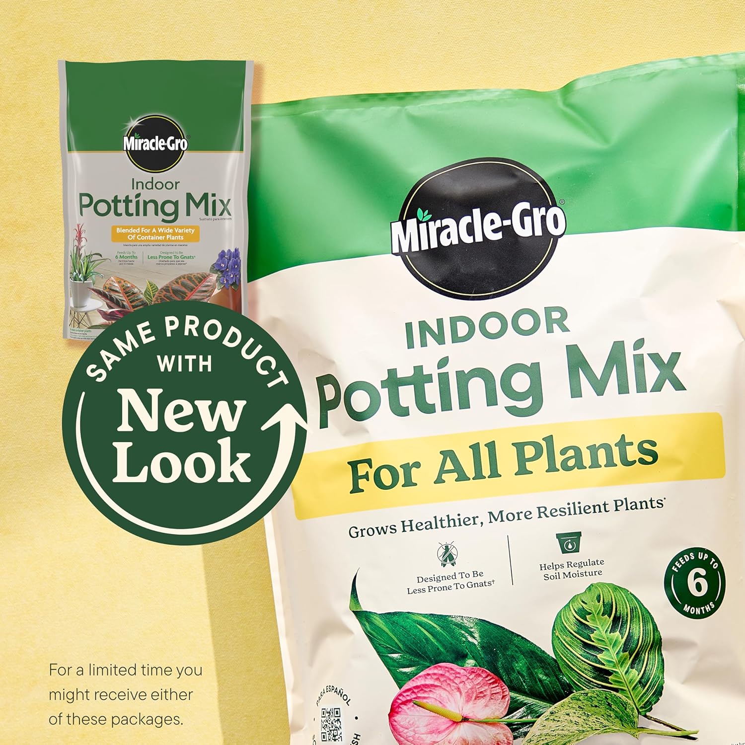 Indoor Potting Mix