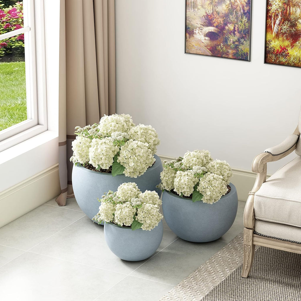 Modern Concrete Bowl Planter