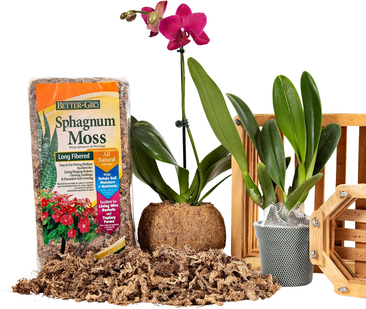 Natural Sphagnum Moss