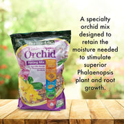 Outdoor Insect Concentrate