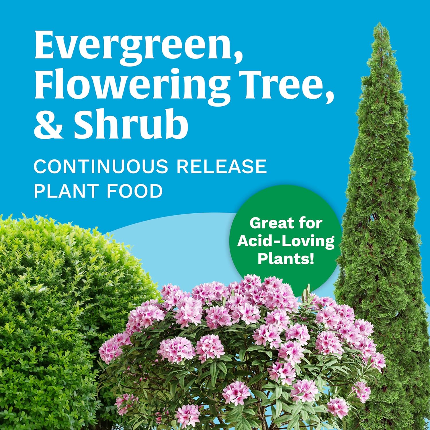 Tree Shrub Plant Food