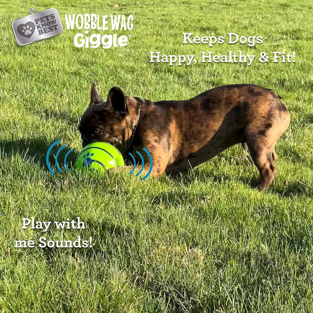 Interactive Giggle Ball Dog Toy