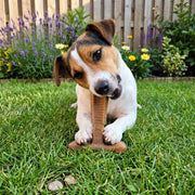 Beef Flavor T-Bone Dog Chew Toy – Small