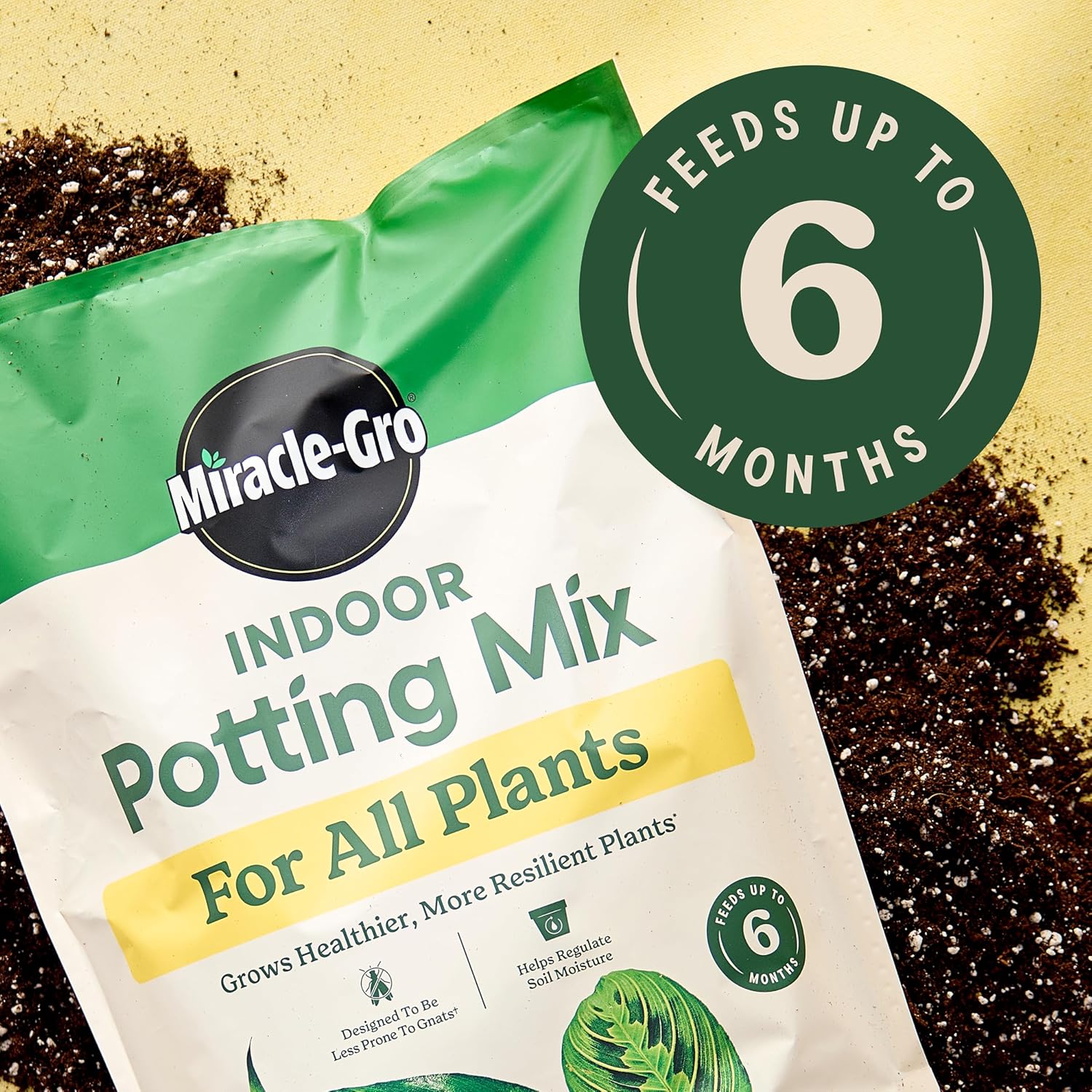 Indoor Potting Mix