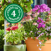 Flower Vegetable Fertilizer
