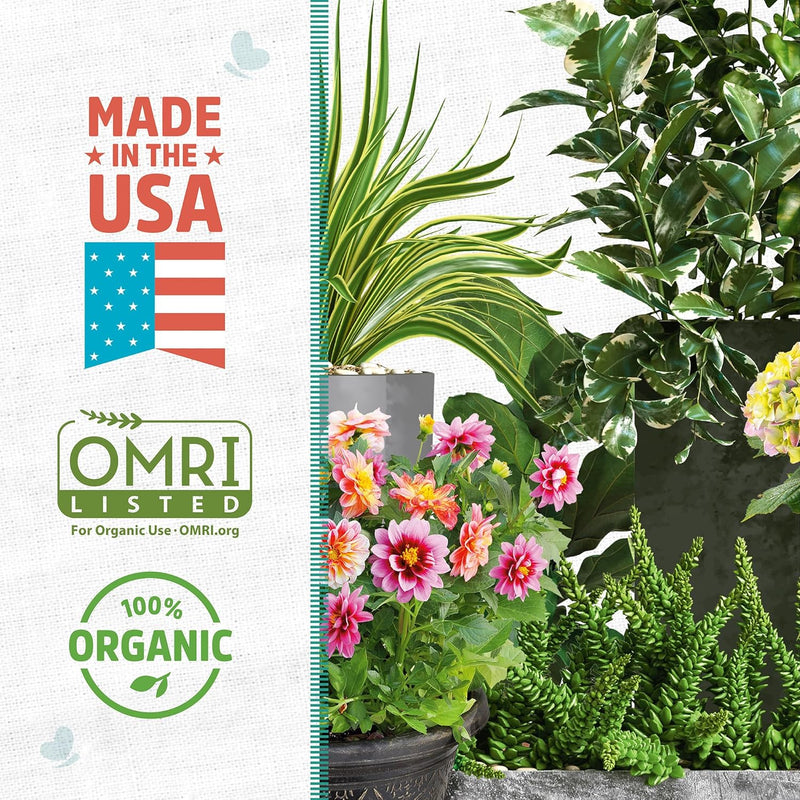 Orchid Plant Food