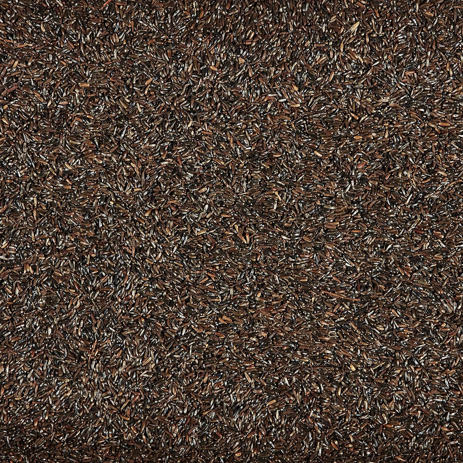 Nyjer Bird Seed