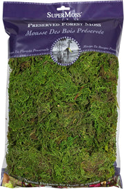 Preserved Forest Moss 8oz