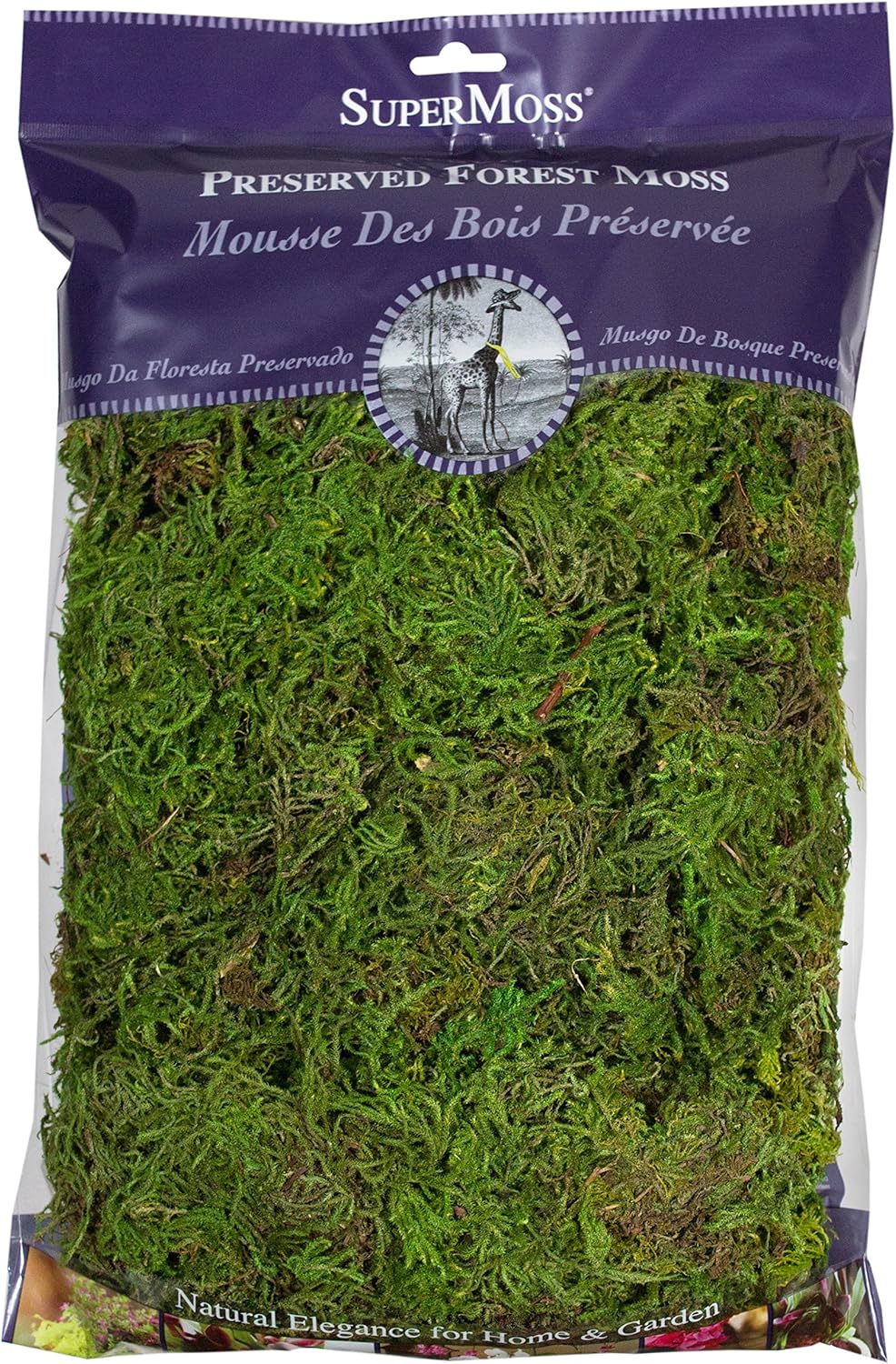 Preserved Forest Moss 8oz