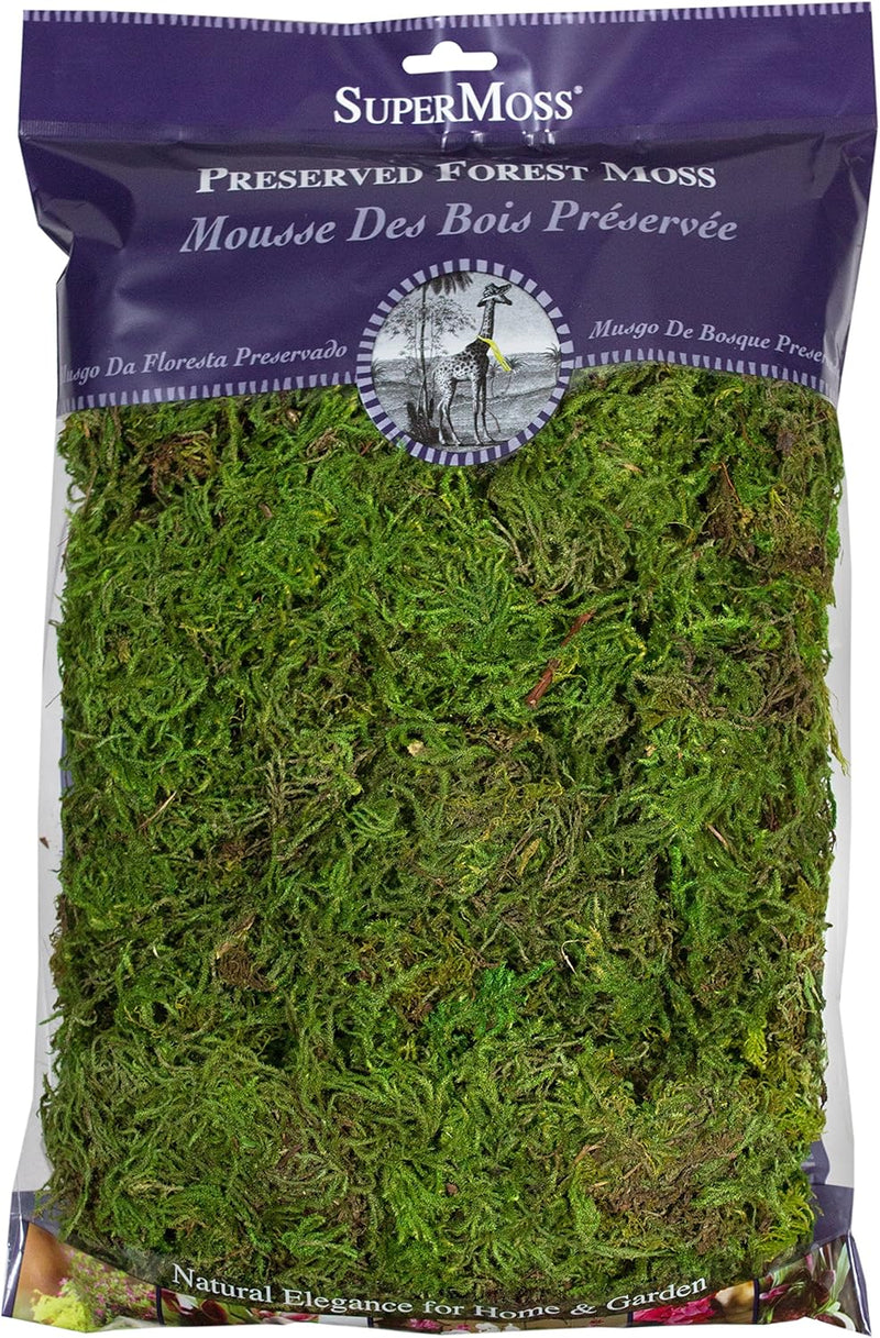 Preserved Forest Moss 8oz