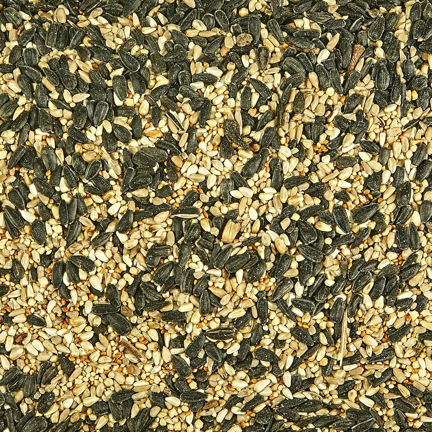 Indoor Seed Starting Mix