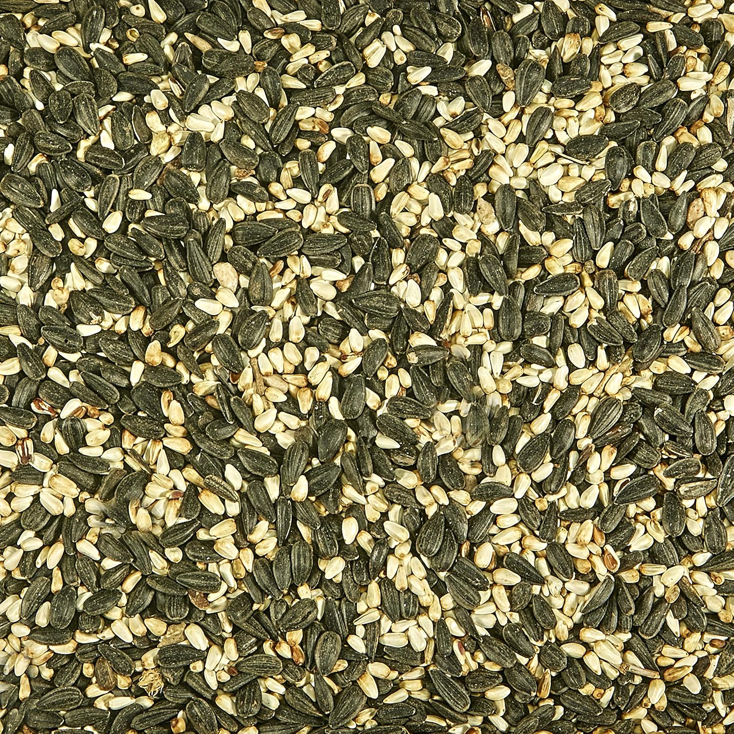 Cardinal Bird Seed