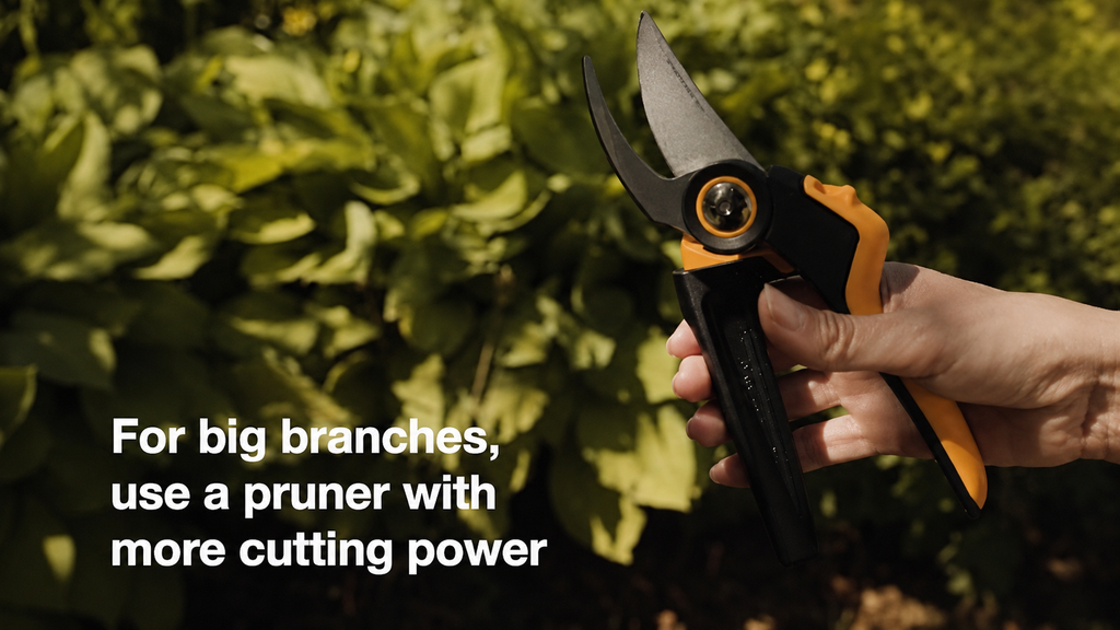Professional Garden Pruner
