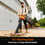 Cordless Leaf Blower