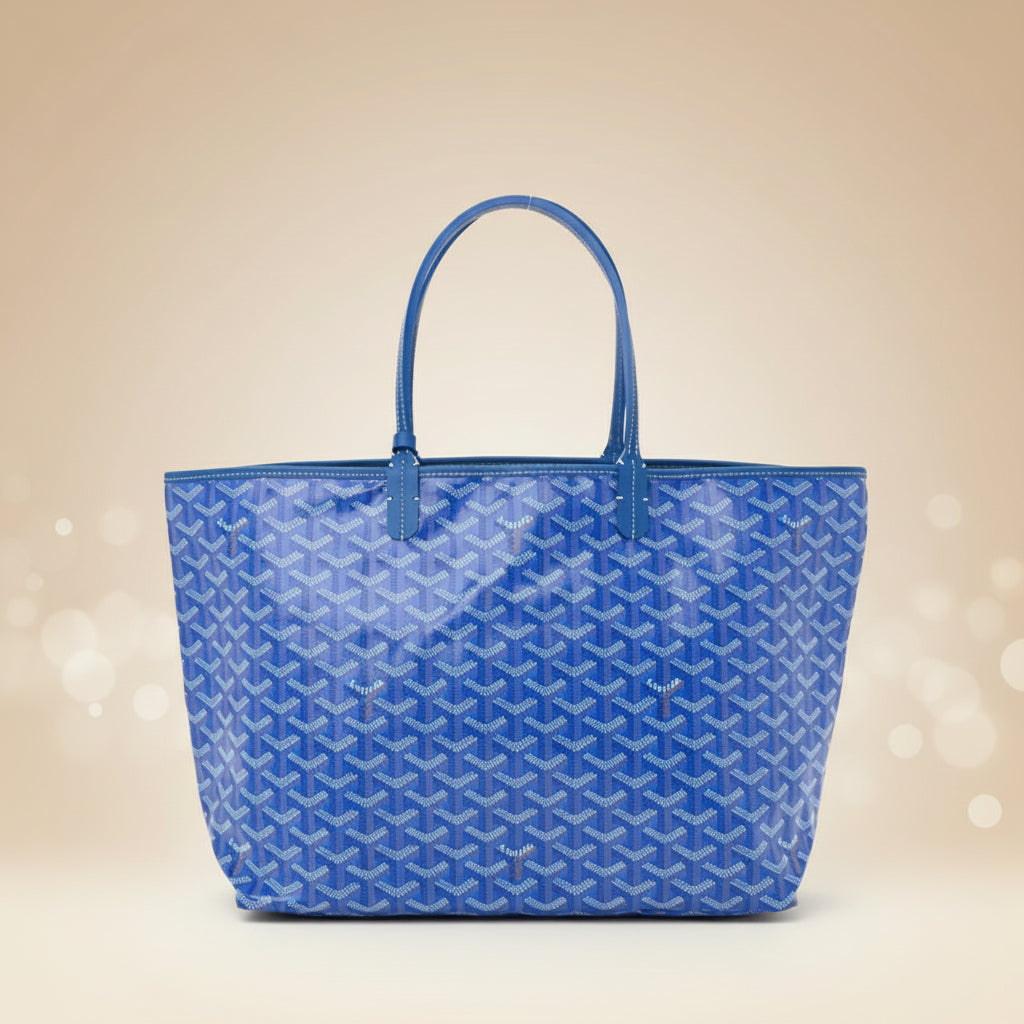 Goyard Saint Louis PM Tote Bag — Coated Canvas