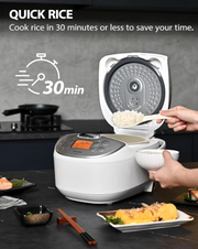 Digital Fuzzy Logic Rice Cooker
