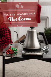 Gooseneck Electric Tea Kettle