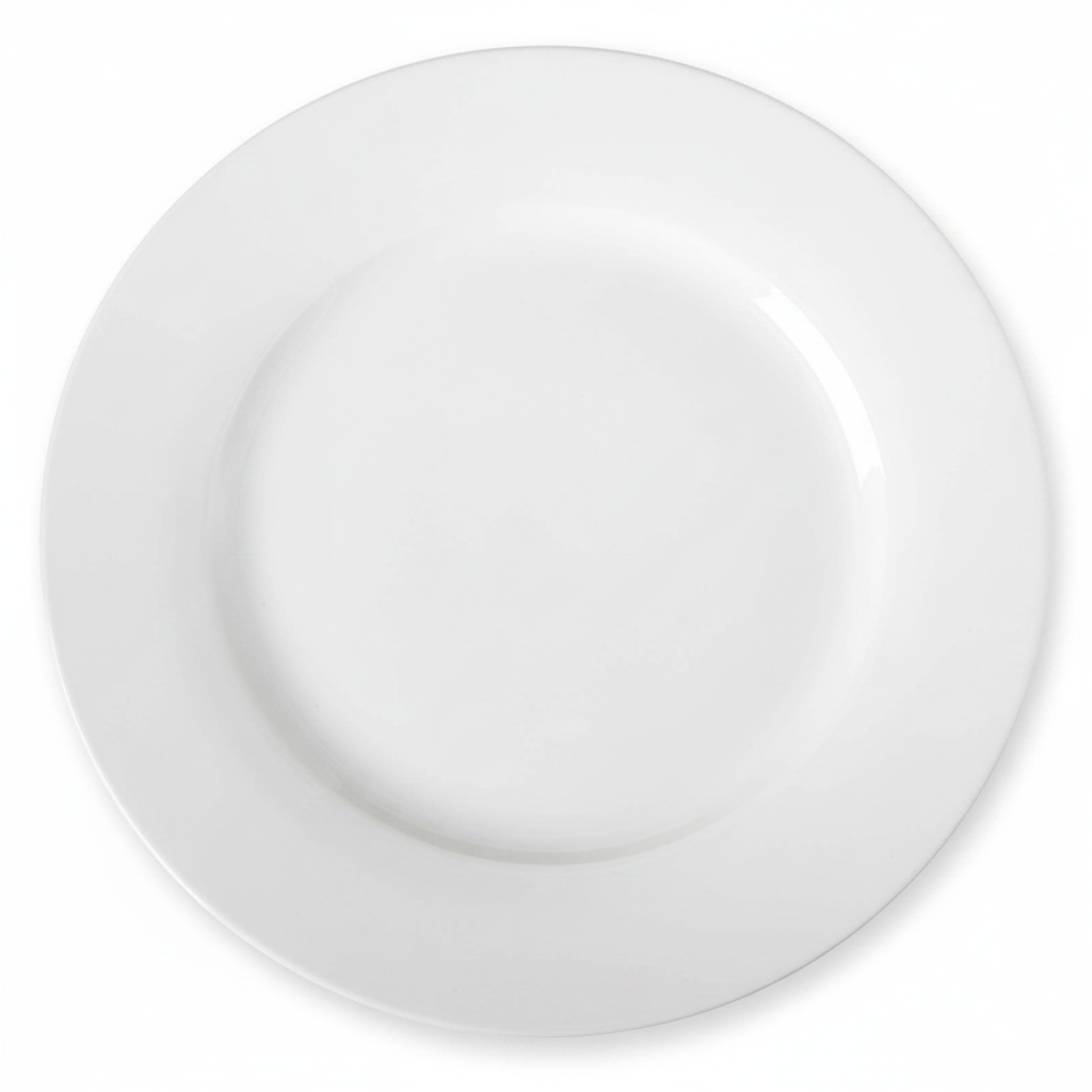 6-Piece Dinner Plate Set