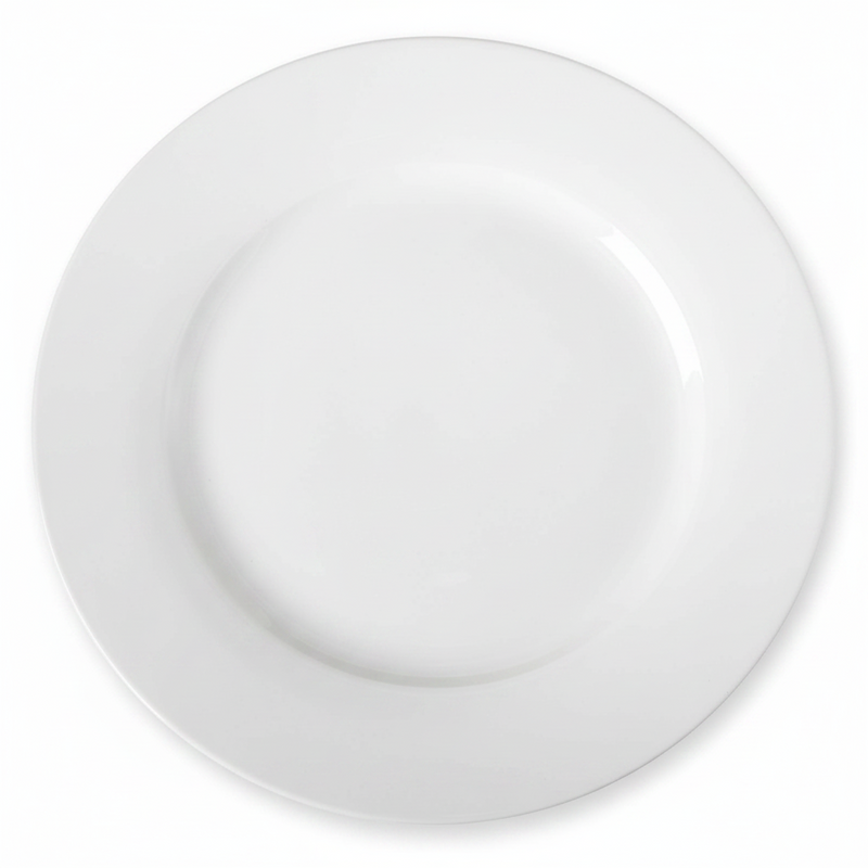 6-Piece Dinner Plate Set