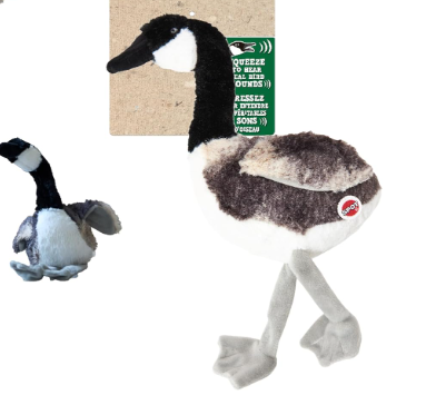 Bird Sound Plush Dog Toy