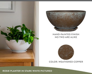 Modern Rosie Planter