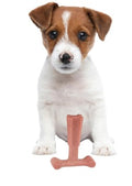 Beef Flavor T-Bone Dog Chew Toy – Small